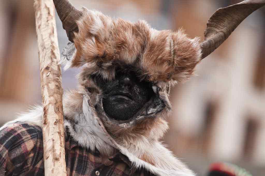 Carnaval de Bielsa Carnaval de Bielsa