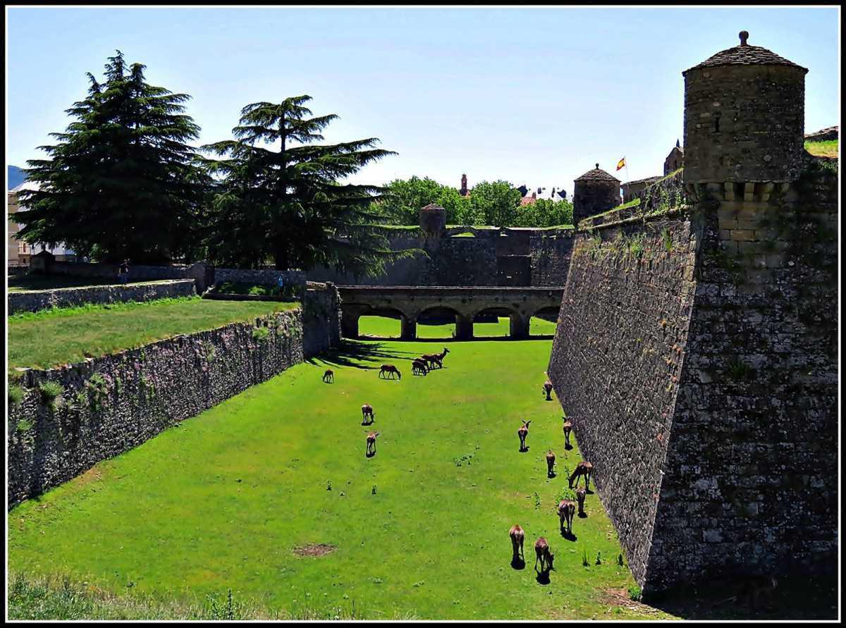 Jaca, la Perla del Pirineo Jaca, la Perla del Pirineo