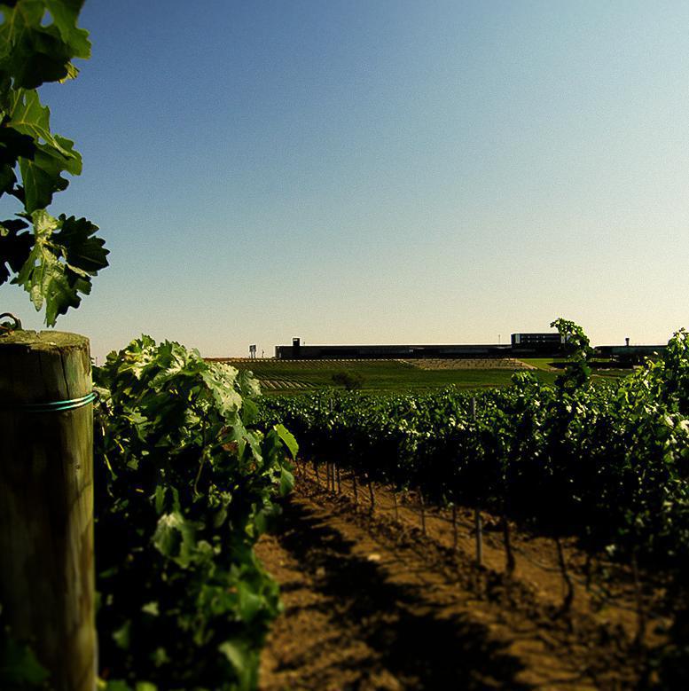 Bodega Laus Bodega Laus