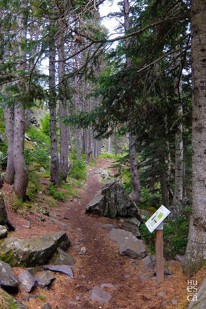 Escapada de 3 Días y 2 Noches al Valle de Benasque para los amantes del Senderismo y Alta Montaña Escapada de 3 Días y 2 Noches al Valle de Benasque para los amantes del Senderismo y Alta Montaña