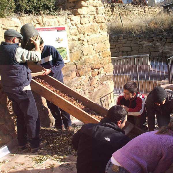 Escapada Gastronómica Cultural de 3 días y 2 noches al Somontano Escapada Gastronómica Cultural de 3 días y 2 noches al Somontano