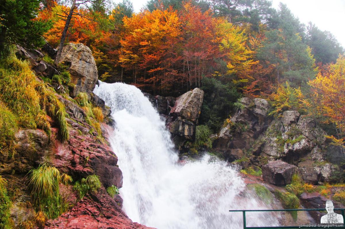 Vive la Magia del Otoño con este plan de Fin de Semana Vive la Magia del Otoño con este plan de Fin de Semana