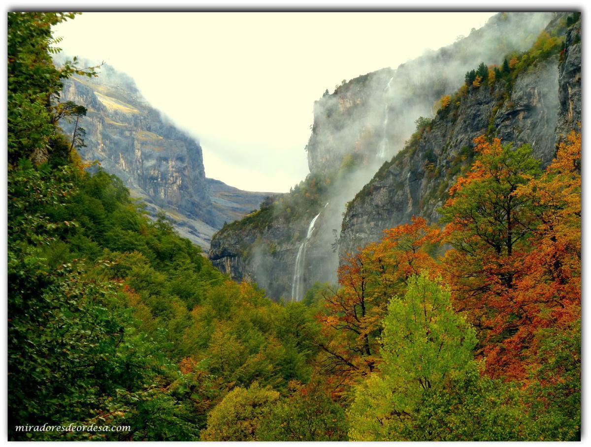 Vive la Magia del Otoño con este plan de Fin de Semana Vive la Magia del Otoño con este plan de Fin de Semana