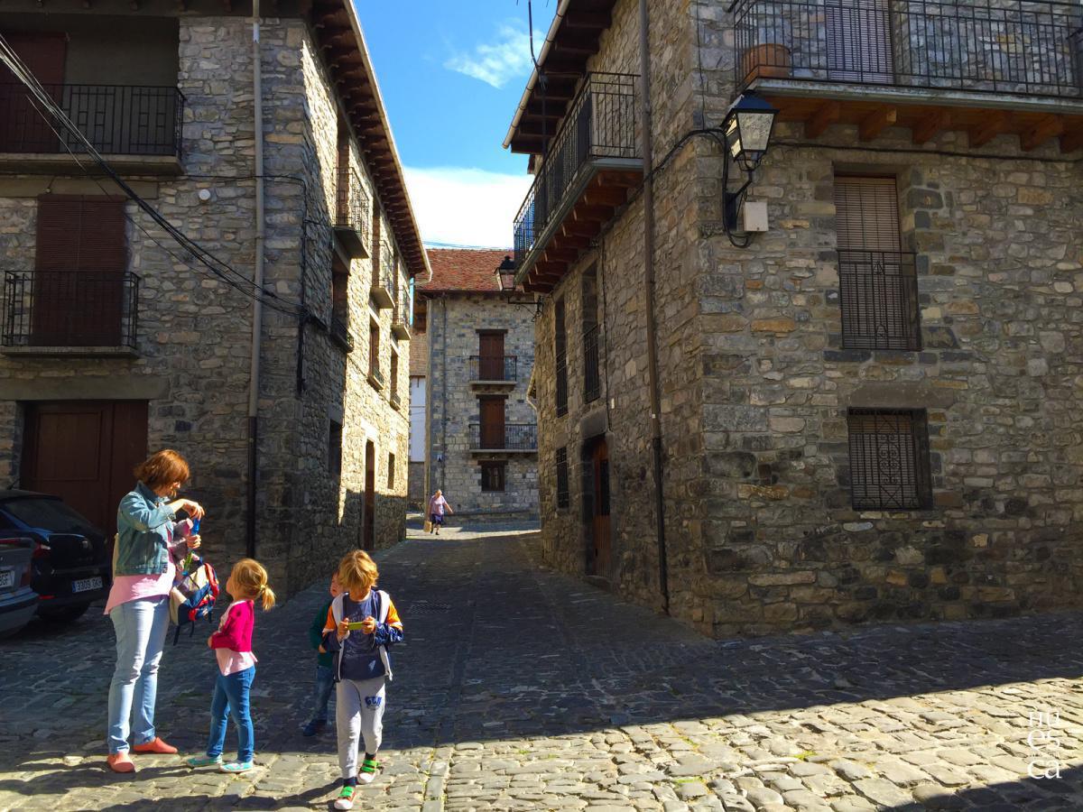 El Bosque de Gamueta El Bosque de Gamueta