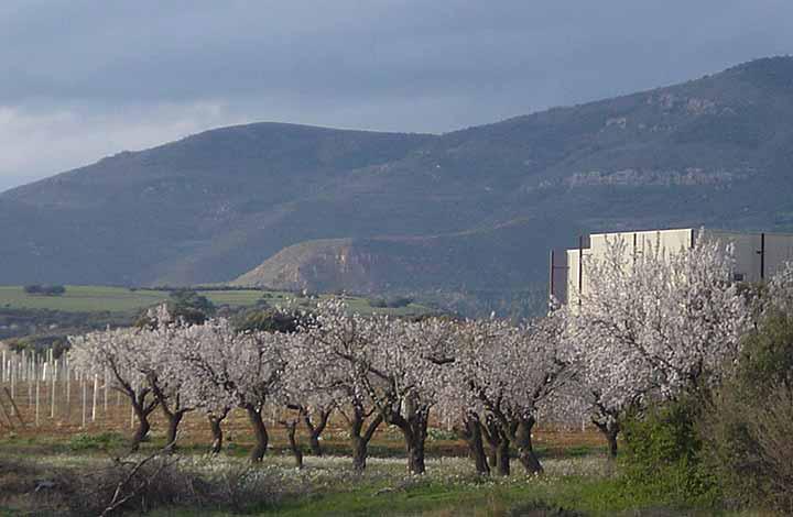 Bodega Edra Bodega Edra