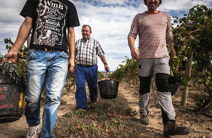 Bodega Edra Bodega Edra