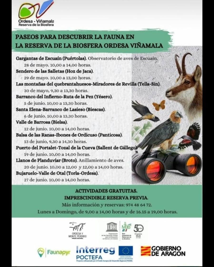 Descubre la fauna en la Reserva de la Biosfera Ordesa - Viñamala Descubre la fauna en la Reserva de la Biosfera Ordesa - Viñamala
