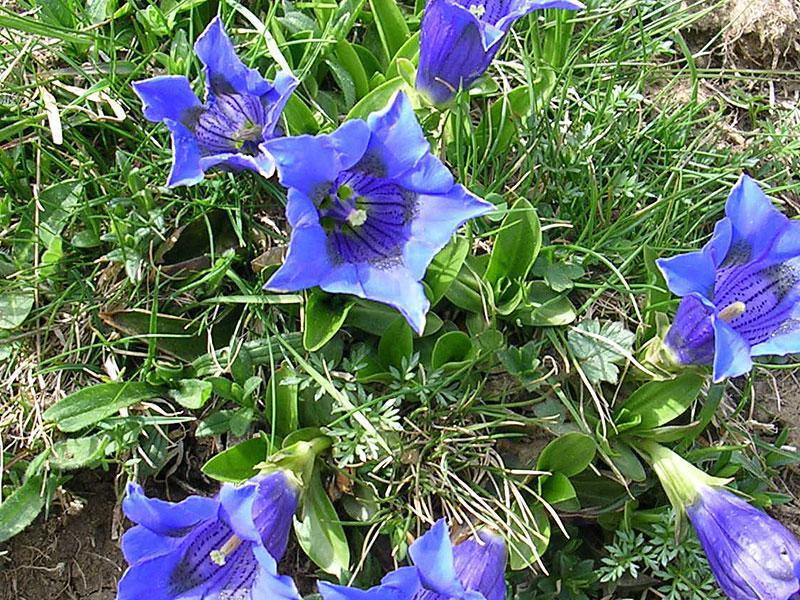 Un paseo mágico por el Sendero Botánico de As Foyas 😍🌲 🌳 Un paseo mágico por el Sendero Botánico de As Foyas 😍🌲 🌳