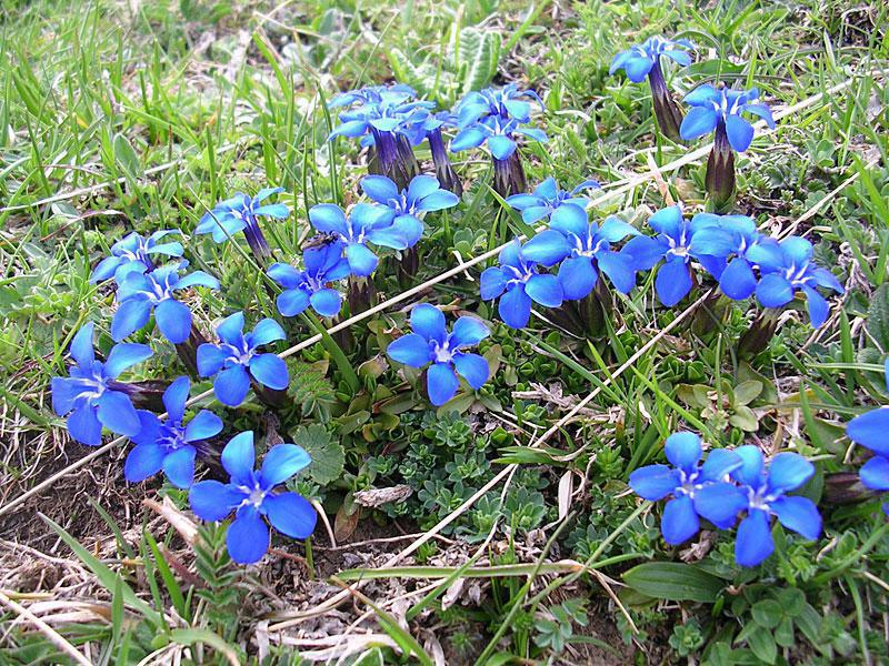 Un paseo mágico por el Sendero Botánico de As Foyas 😍🌲 🌳 Un paseo mágico por el Sendero Botánico de As Foyas 😍🌲 🌳