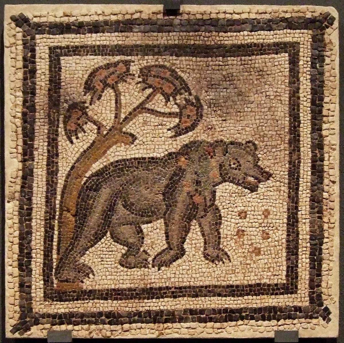 Villa Fortunatus 🏺 Los vestigios romanos del Bajo Cinca Villa Fortunatus 🏺 Los vestigios romanos del Bajo Cinca