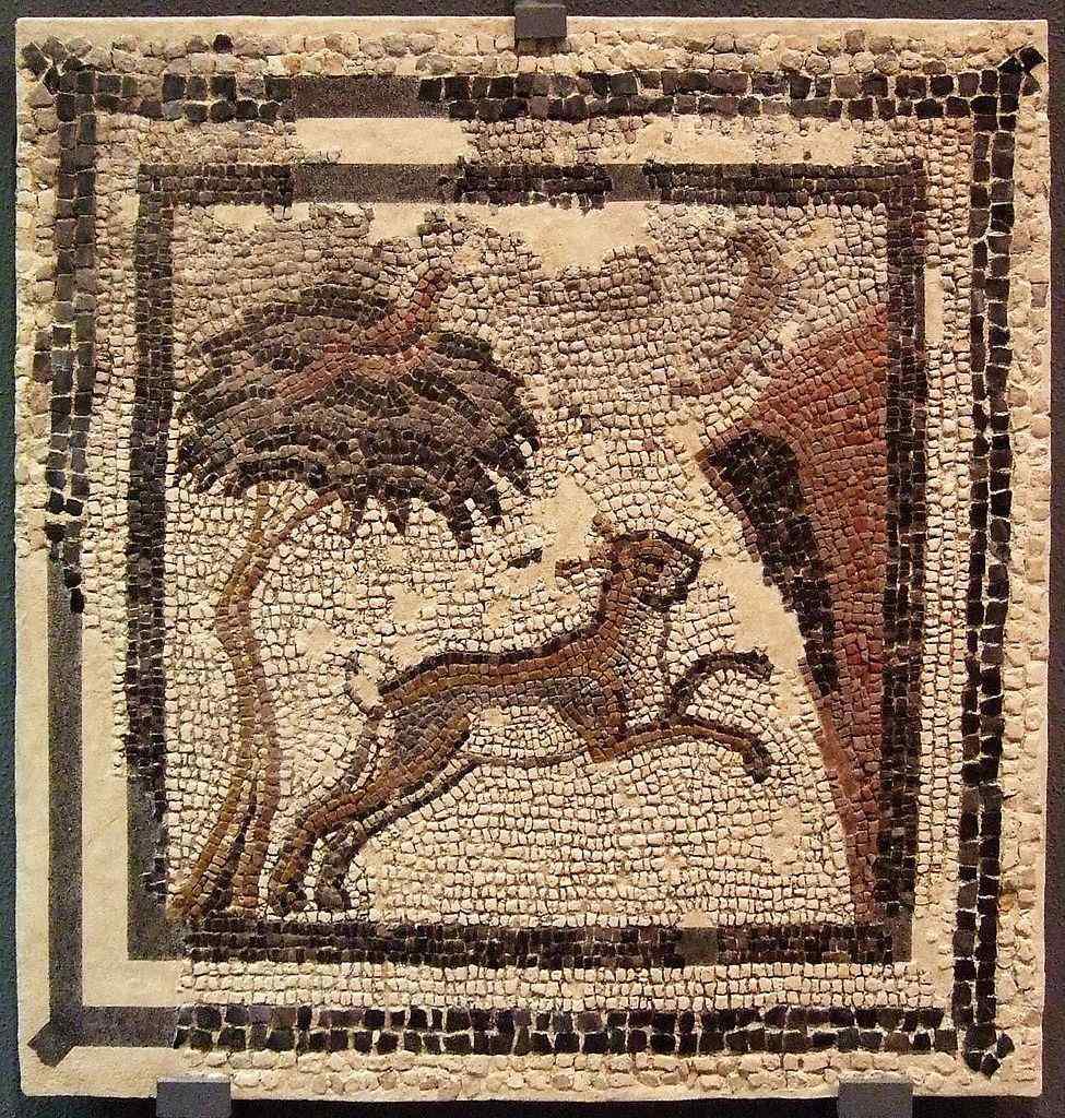 Villa Fortunatus 🏺 Los vestigios romanos del Bajo Cinca Villa Fortunatus 🏺 Los vestigios romanos del Bajo Cinca