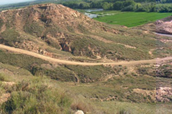 Yacimiento Arqueológico La Codera 🏺 Yacimiento Arqueológico La Codera 🏺