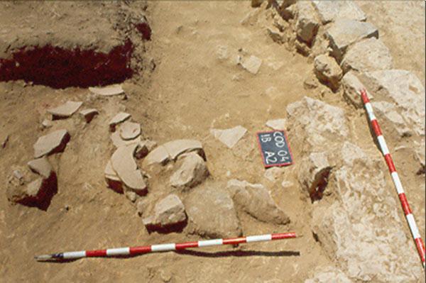 Yacimiento Arqueológico La Codera 🏺 Yacimiento Arqueológico La Codera 🏺