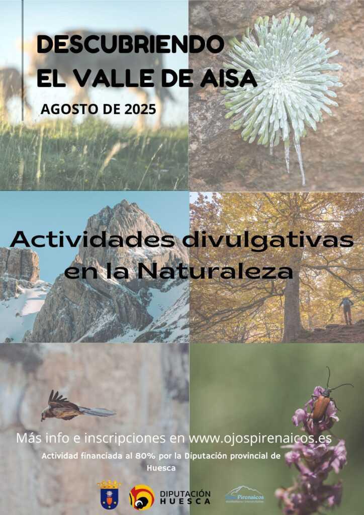 Descubriendo el Valle de Aísa (Huesca) - Salidas interpretativas en agosto Descubriendo el Valle de Aísa (Huesca) - Salidas interpretativas en agosto