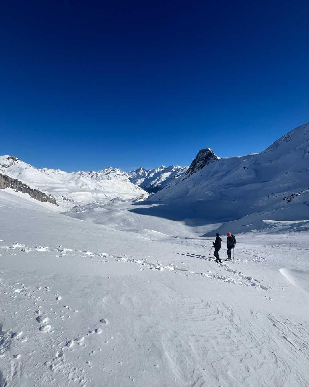 Green Pyrenees Green Pyrenees
