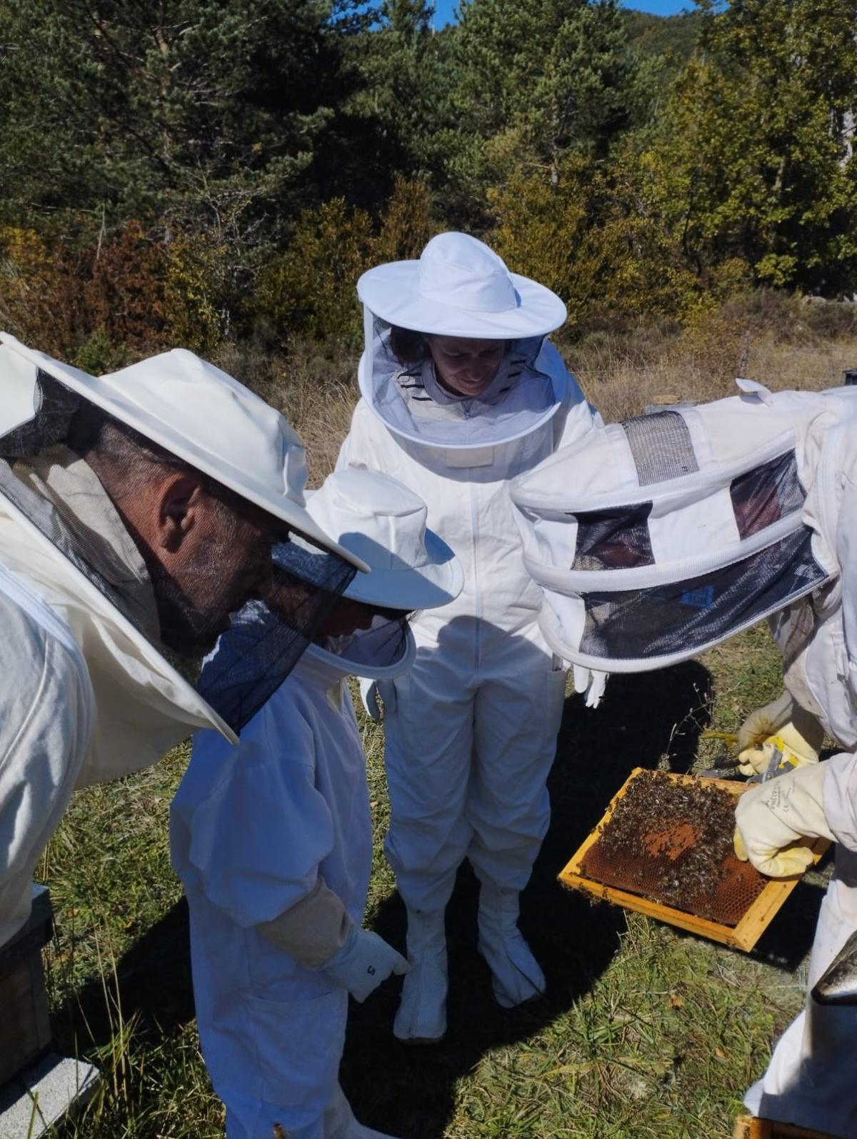 Casa Rosenda: visita guiada a un colmenar