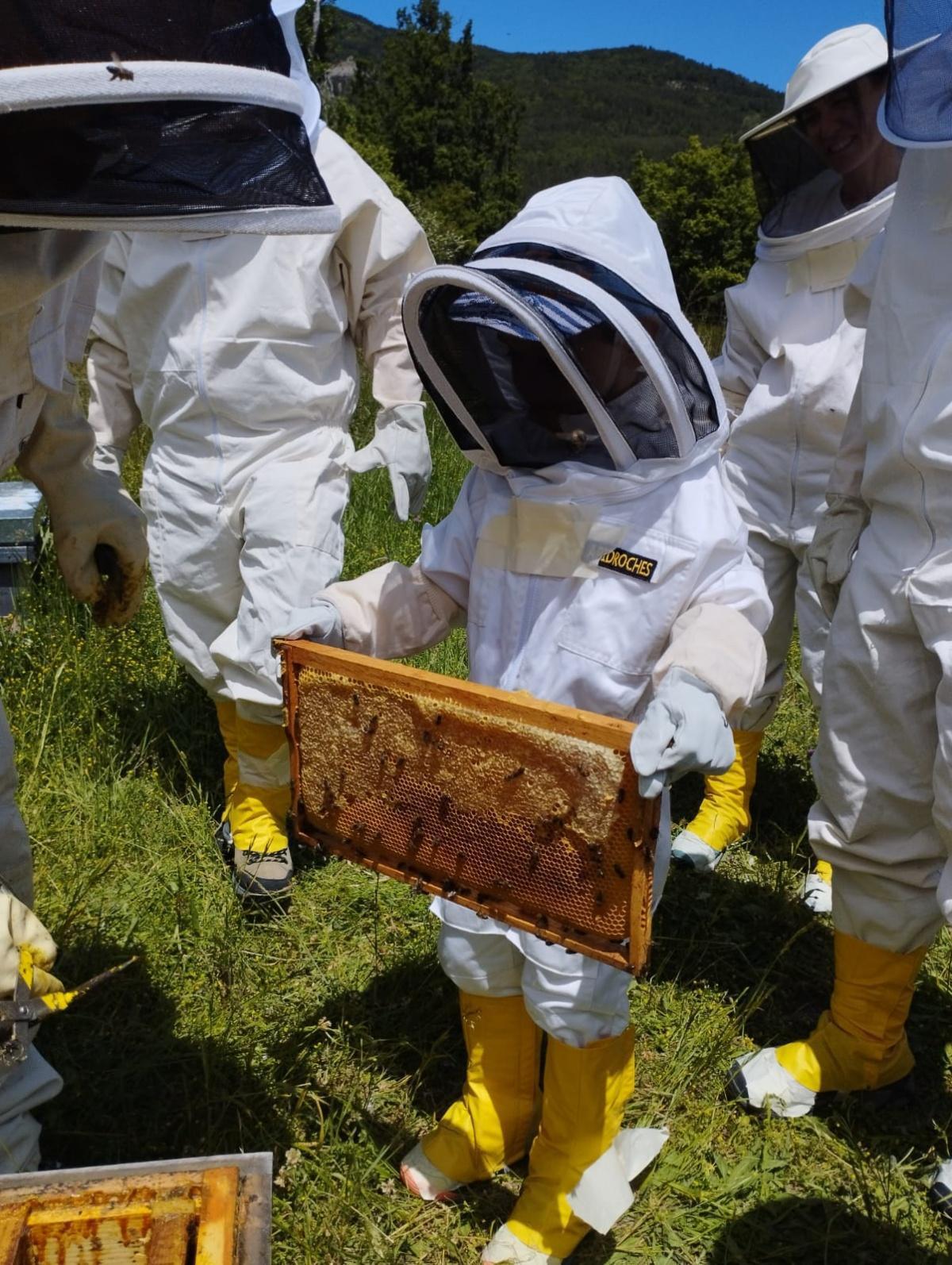 Casa Rosenda: visita guiada a un colmenar Casa Rosenda: visita guiada a un colmenar
