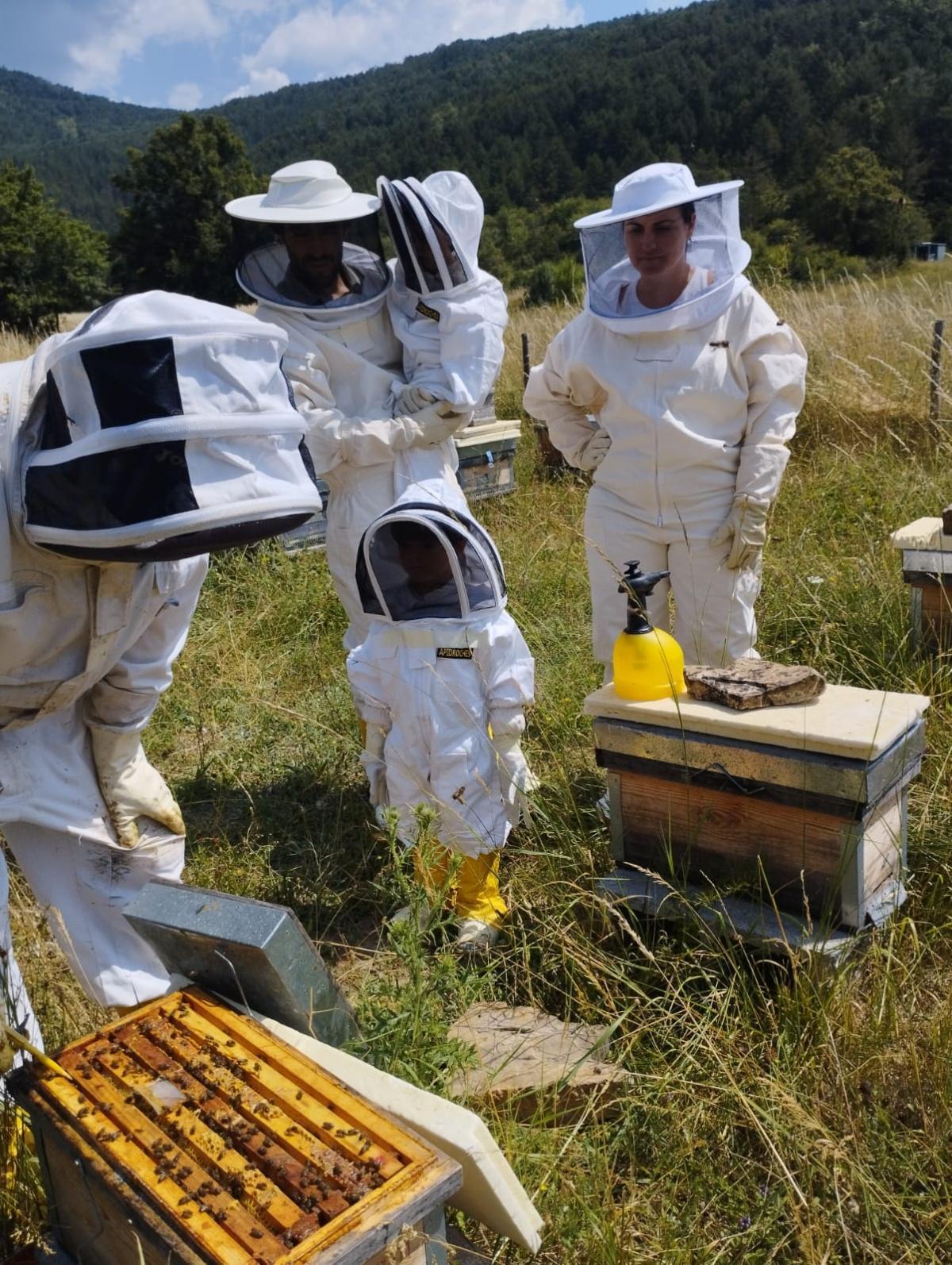 Casa Rosenda: visita guiada a un colmenar