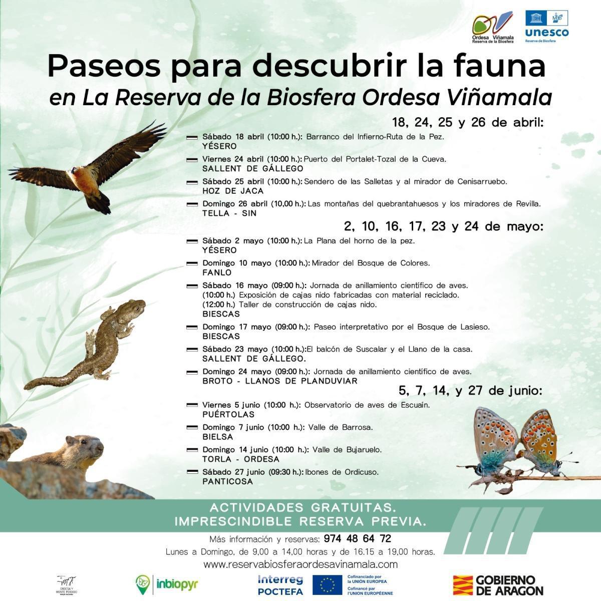 Paseos para descubrir la fauna en La Reserva de la Biosfera Ordesa Viñamala (Huesca) Paseos para descubrir la fauna en La Reserva de la Biosfera Ordesa Viñamala (Huesca)
