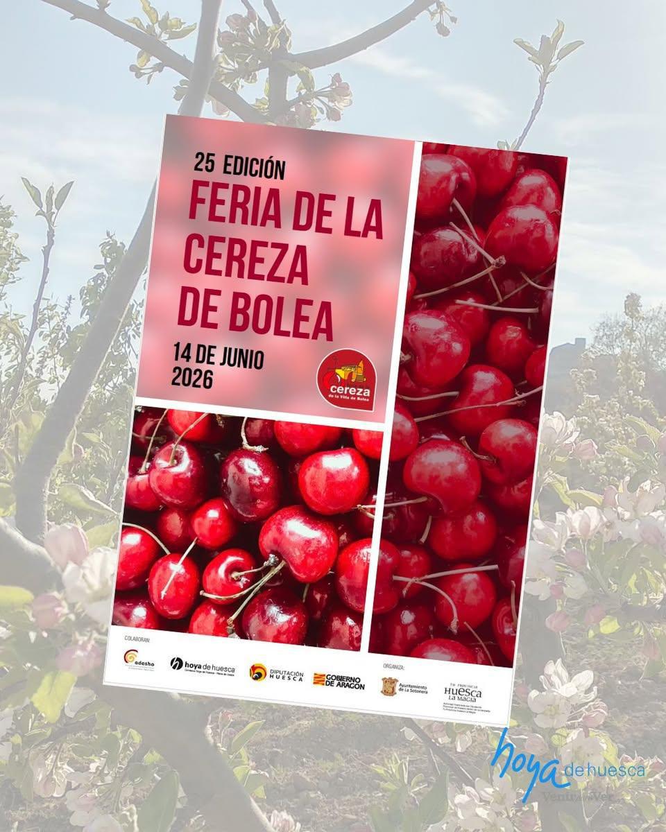 25 Edición Feria de la cereza de Bolea