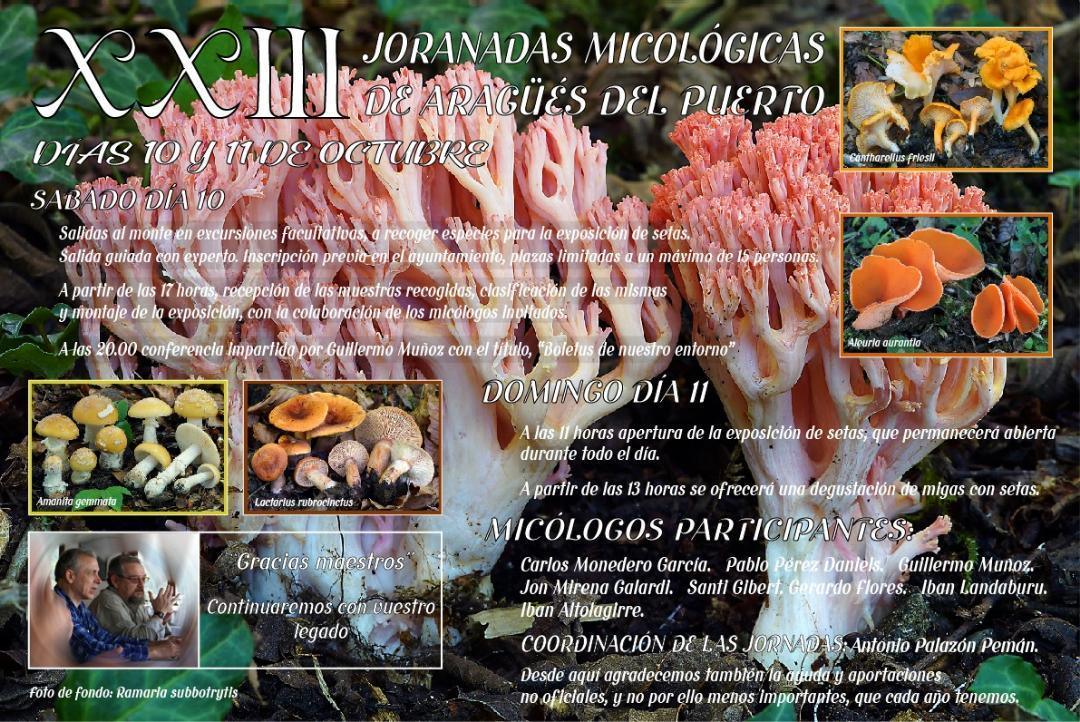 XXIII Jornadas micológicas de Aragüés del Puerto