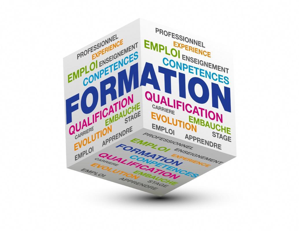 MODALITES DU CPF TRANSITION PERIODE TRANSITOIRE 2019 GESTION ET FINANCEMENT PAR LE FONGECIF PACA MODALITES DU CPF TRANSITION PERIODE TRANSITOIRE 2019 GESTION ET FINANCEMENT PAR LE FONGECIF PACA