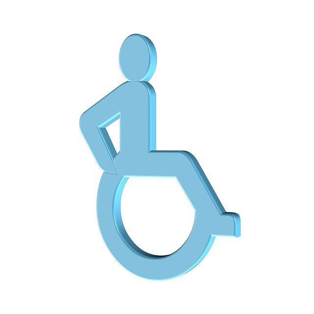 Handicap/Emploi