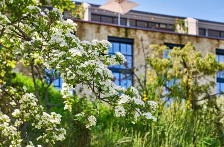 Partenaire CHATEAU LA COSTE Partenaire CHATEAU LA COSTE