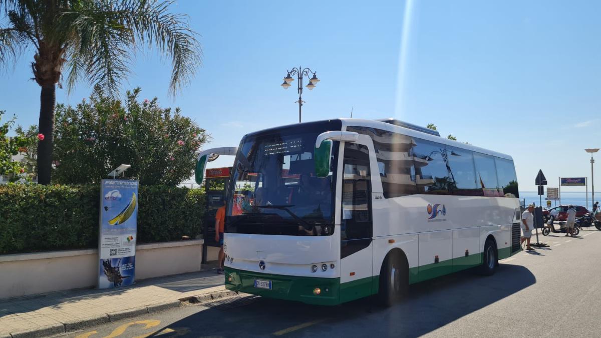 Trasporto Urbano Pubblico Trasporto Urbano Pubblico