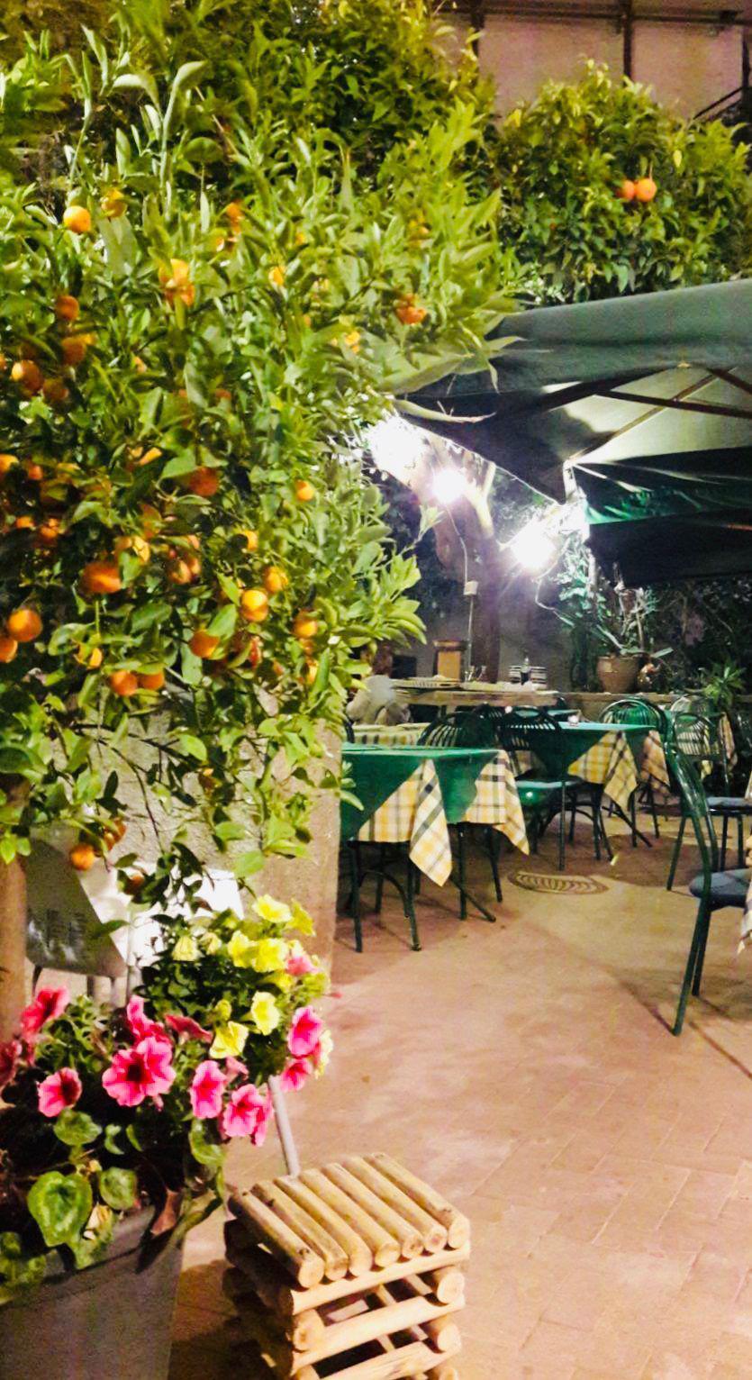 Trattoria Don Camillo Trattoria Don Camillo
