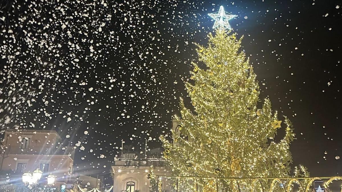 Cerimonia di Accensione Albero di Natale (inizio ore 19.00)