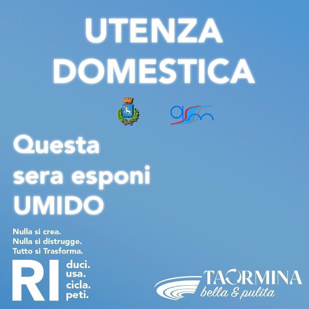 Stasera esporre umido