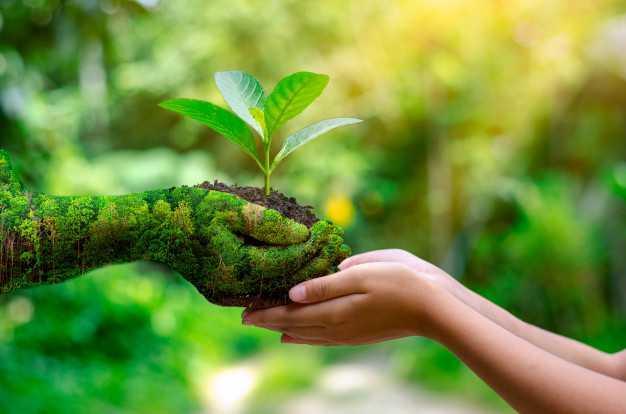 O que é a “Serata Laudato Si’”?