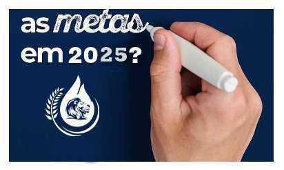 Meu Projeto de Vida Para 2025