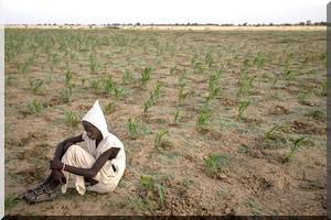 Les villageois sans terre de Mauritanie, obligés d’aller enterrer leurs morts au Sénégal