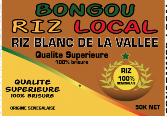 Exclusif : Un ambitieux méga projet agroalimentaire de 14 millions d’euros l’autosuffisance en riz local