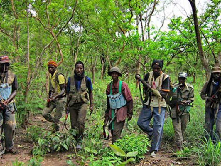 Ziguinchor : 13 morts et 7 blessés dans une attaque dans la forêt classée de Boffa