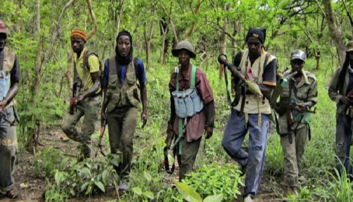 Lettre à Yérim Seck sur son appel au meurtre en Casamance...