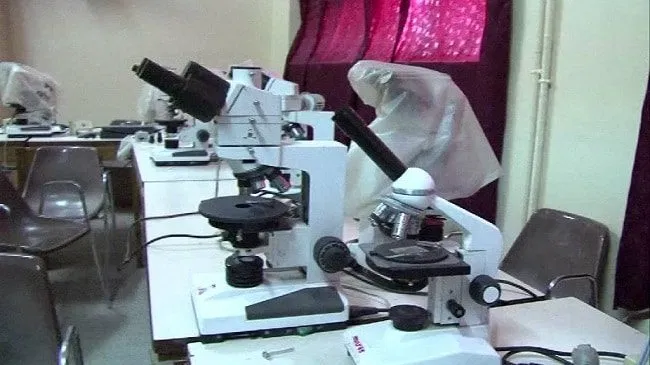 La consultance tue la recherche