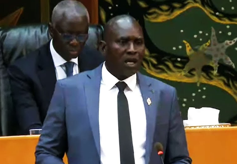 Mady Danfakha interpelle Serigne Mbaye Thiam: "le fleuve Falémé usé, pollué et souillé, est-ce que vous avez pensé à cette situation ?"