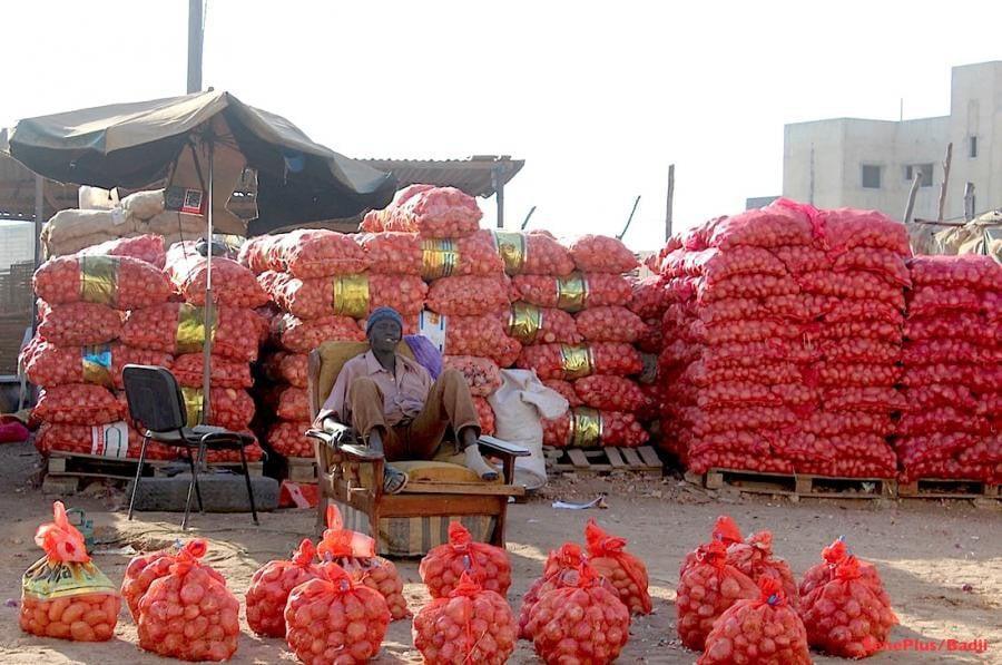 Quand l’agro-business oublie le stockage : les petits producteurs d’oignons et de pommes de terre abandonnés ?
