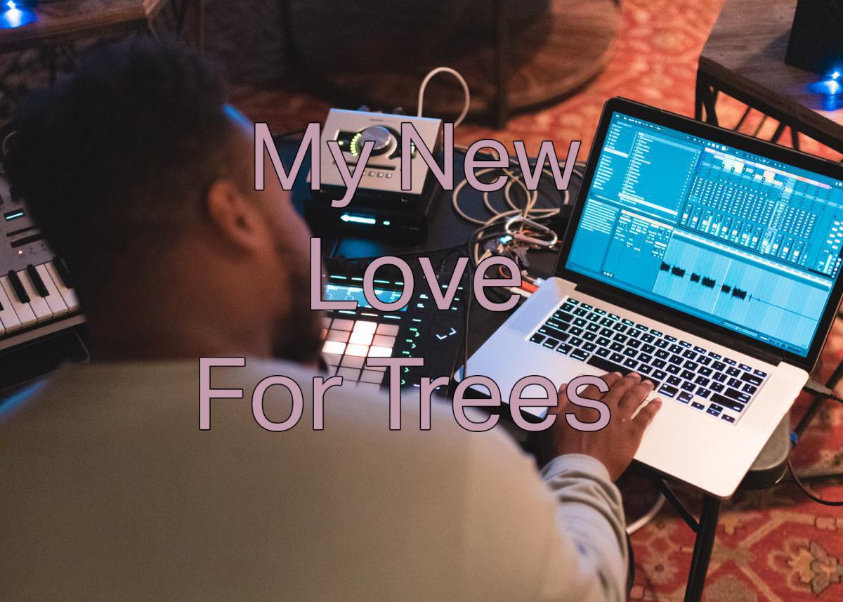 My New Love For Trees My New Love For Trees