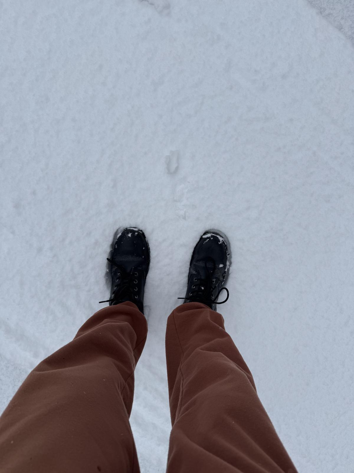 5 Positive Things That Happened to Me This Week: 5 Positive Things That Happened to Me This Week: