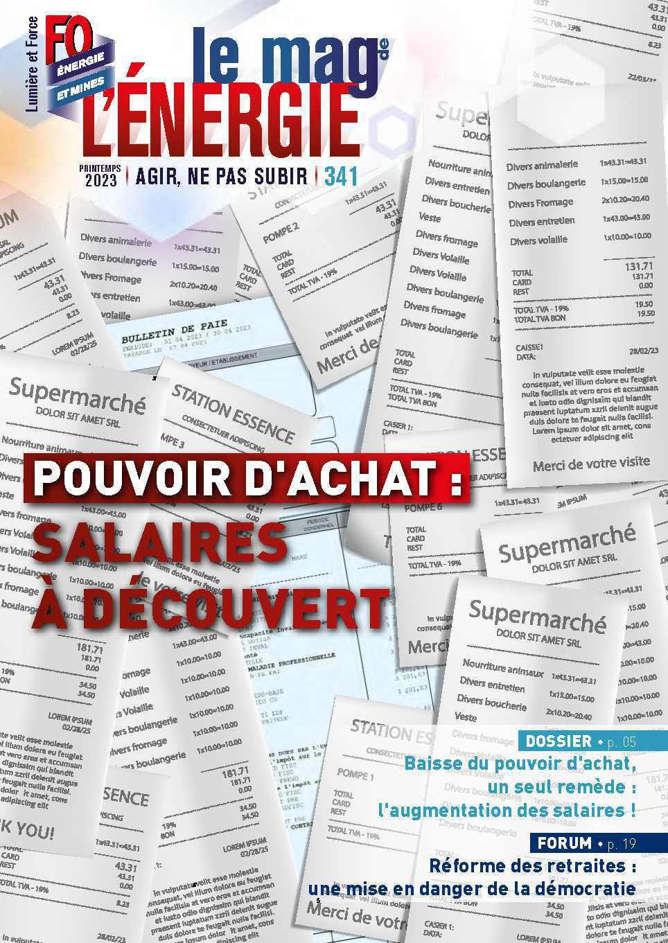 N°341 - Pouvoir d'achat : salaire à découvert N°341 - Pouvoir d'achat : salaire à découvert