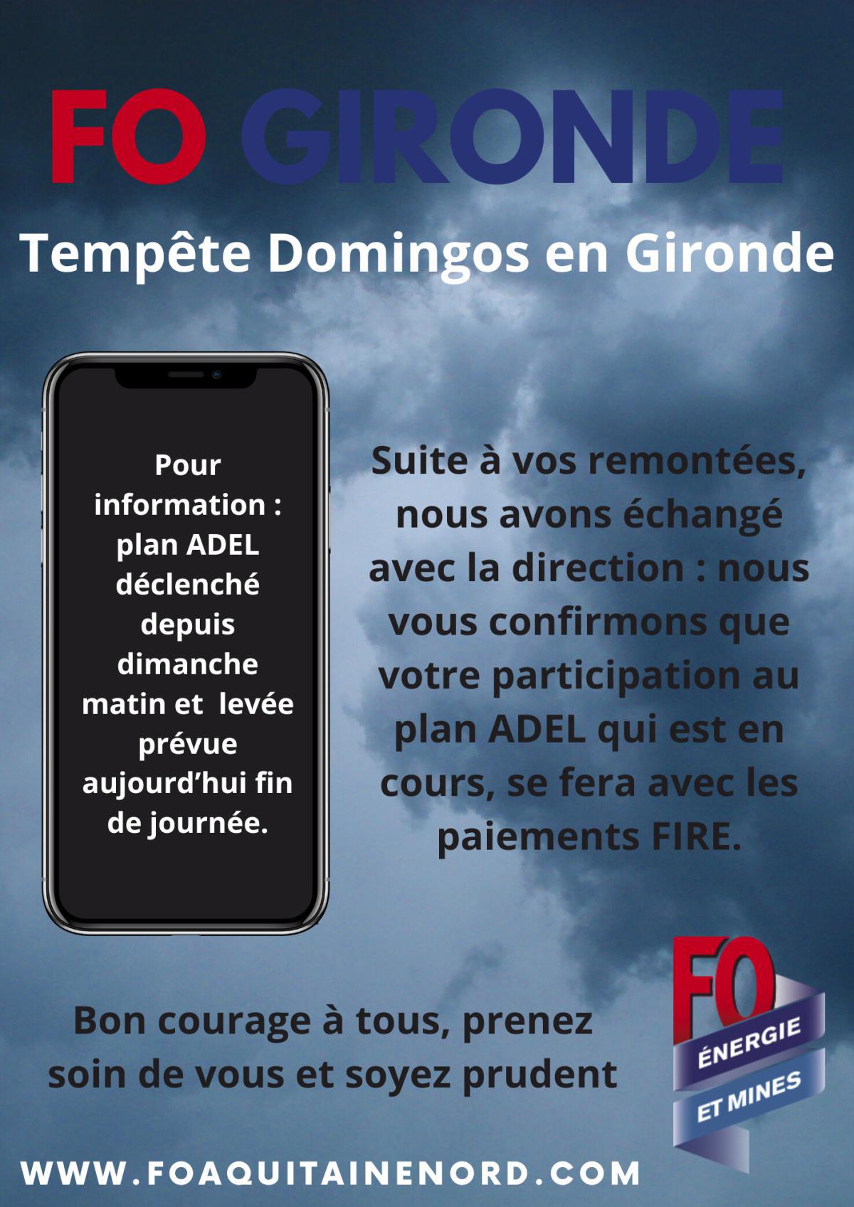 [FO Enedis DR AQN] Tempête Domingos en Gironde - ADEL FIRE