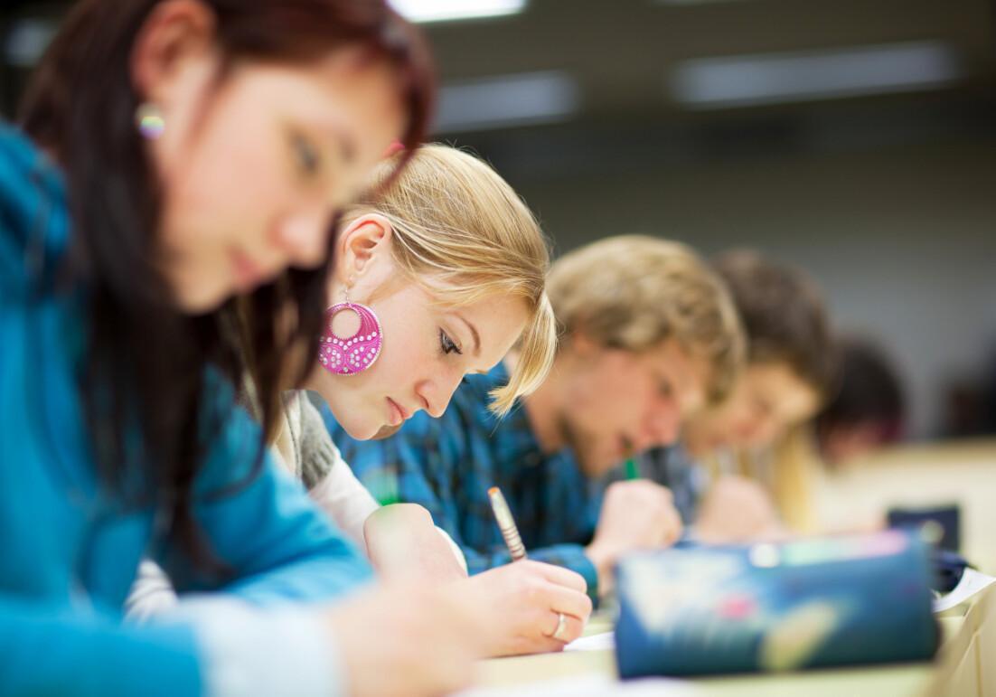 AFE (Aide aux Frais d’Études) au 1er janvier 2025