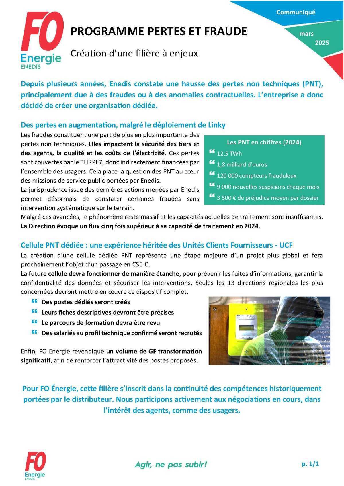 [Enedis] Programme Pertes et Fraude - Création d’une filière à enjeux