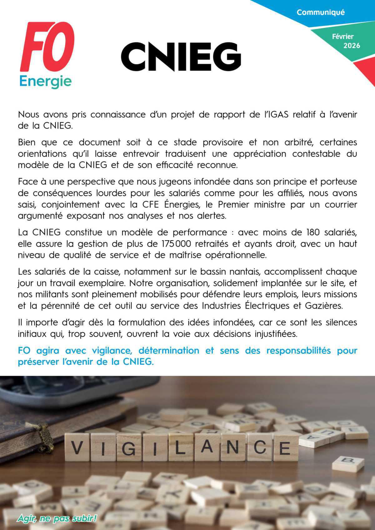 Projet de rapport pour la CNIEG