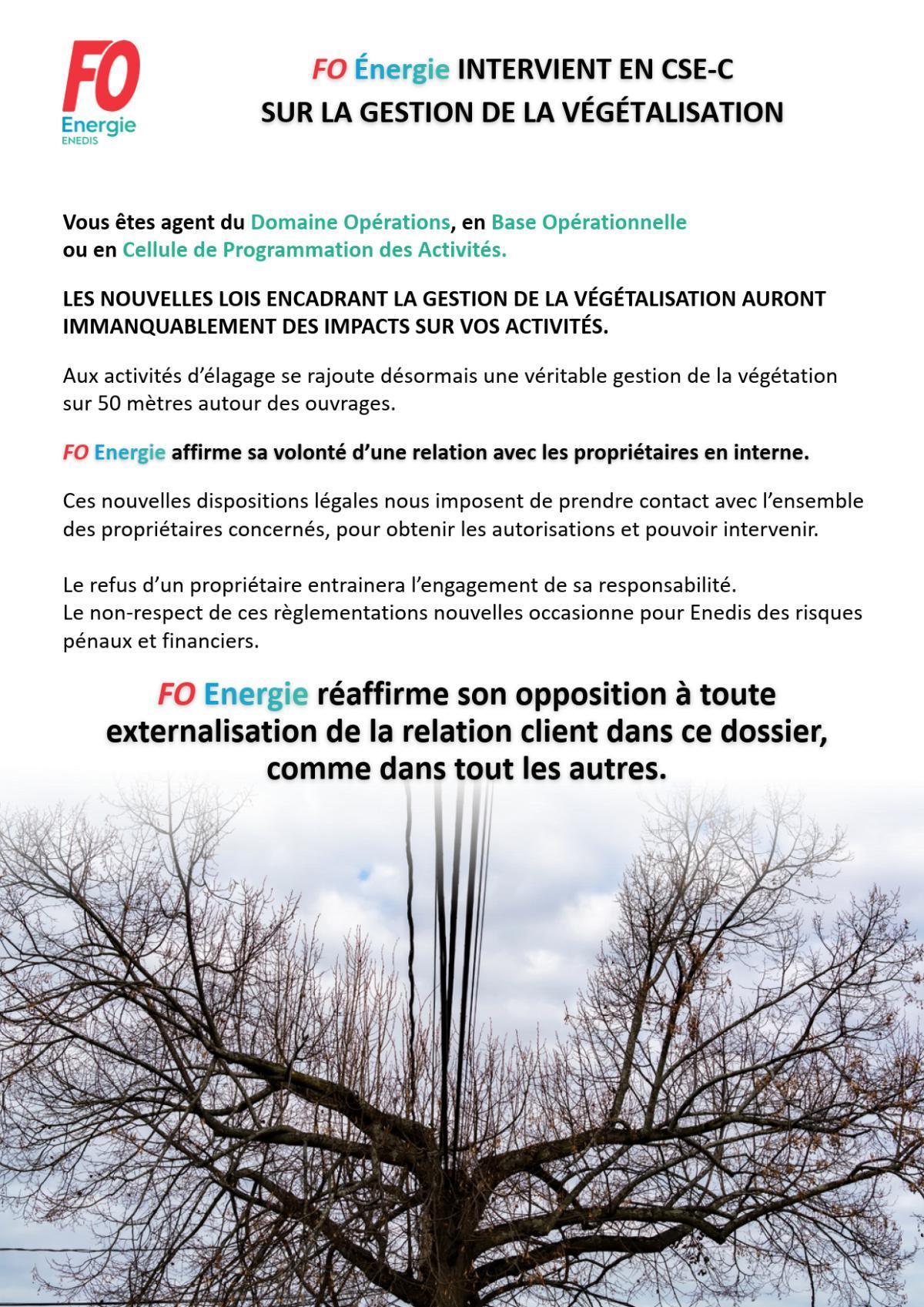 [ENEDIS] FO Énergie intervient en CSE-C sur la gestion de la végétalisation