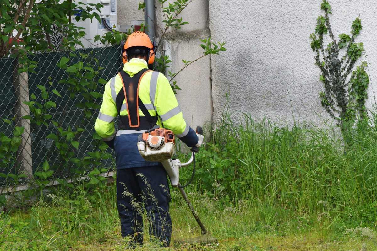 [ENEDIS] FO Énergie intervient en CSE-C sur la gestion de la végétalisation